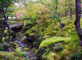 �����t���[�p�X �g�����K�C�h�I�c�̋q�Əd�Ȃ�Ȃ����[�g�ŃX�C�X�C�����ό��̋L���T���l�C��