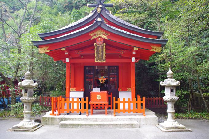 本殿のすぐ隣にあるのは、恋愛の神様「九頭龍神社 新宮」！