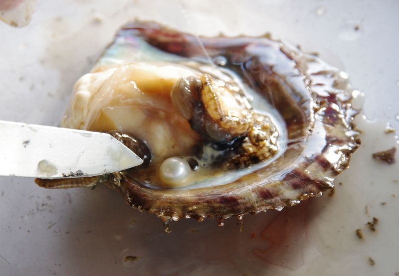 三重県伊勢志摩「真珠の里」で体験！憧れの“アコヤ真珠取り出し”&“真珠アクセサリー作り”