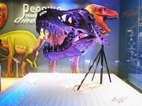 すみだ水族館で恐竜＆ペンギンがコラボ！夏の特別展示を大公開！