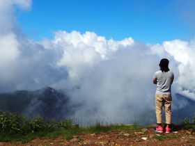 _Ȃ̂ɍs񂪁IW2307m̃p`Rqbe̋LTlC