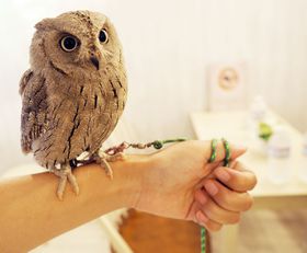 ɂ̃t^CHtuALotNEvŃtNEƖ̎̋LTlC