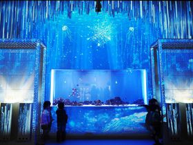 �G�v�\�� �A�N�A�p�[�N�i�삪�X�̐��E�ɁI�_��̃v���W�F�N�V�����}�b�s���O�����z�I�̋L���T���l�C��