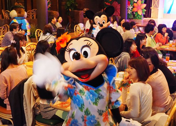 東京ディズニーランドで記念日を ミッキーのレインボー ルアウでミッキーに会える 千葉県 トラベルjp 旅行ガイド