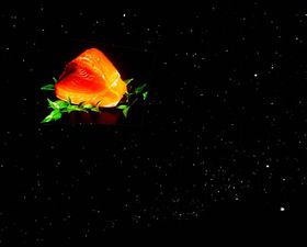 ���Ƀ}�O����!!���t�C���Ŋy���ޏĒẪv���l�^���E���̋L���T���l�C��