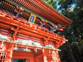 É̍uv\RƋ{vvUP̔IƋ{Ƃ̈Ⴂ̋LTlC