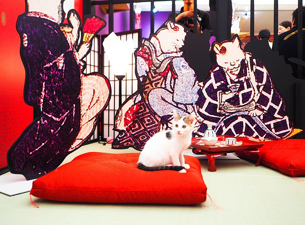 LƈꏏɗVԂȂu˂VsvR[i[