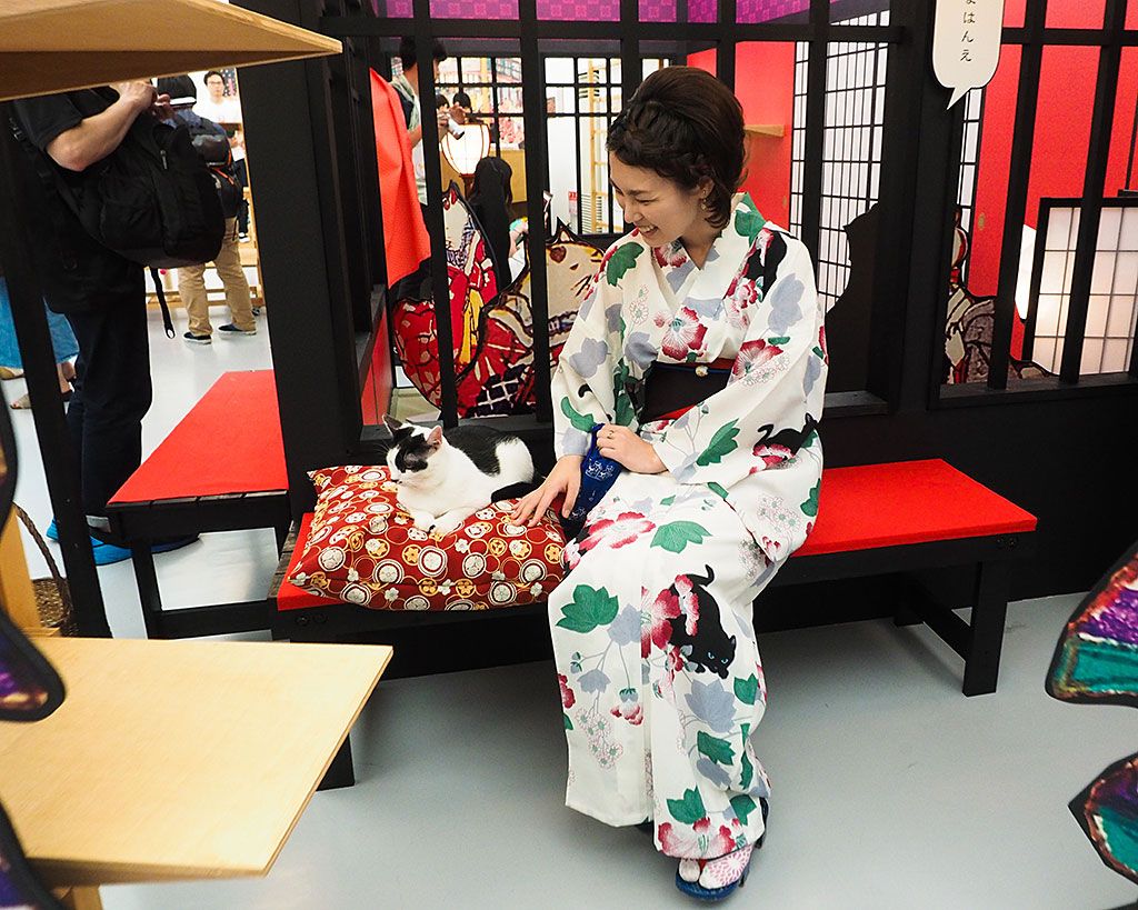 lC̎₨΂|l񂪕`A[eBXgGn