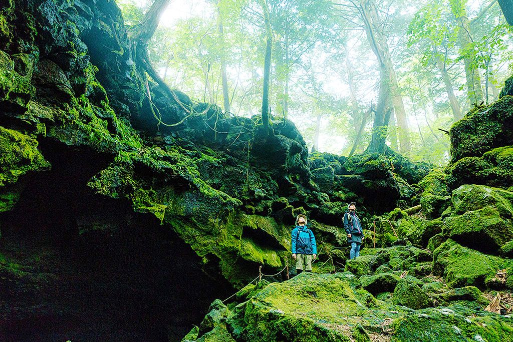 パワースポット超え 富士の樹海と竜宮洞穴を巡るツアーで癒し観光 山梨県 Lineトラベルjp 旅行ガイド