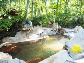 �铒�Ȃ̂ɕs�ւ��[��!?����E�J���R�̗΂������鉷��A�J�������I�V���C�̋L���T���l�C��