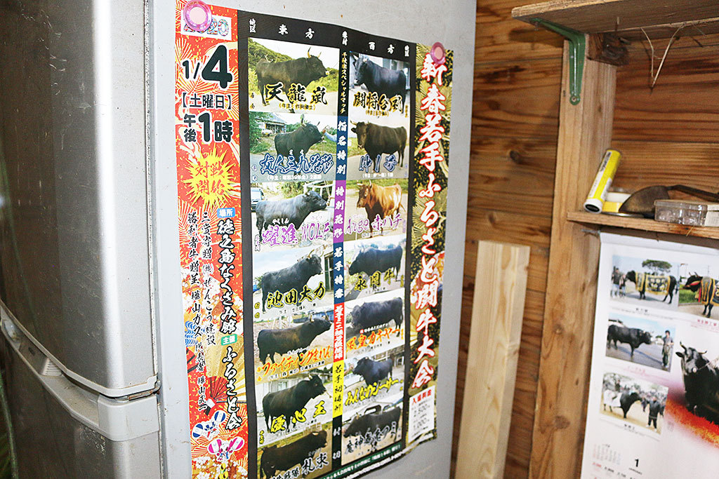 ���[���[�p���_�C�X�A���V���̓������邠��