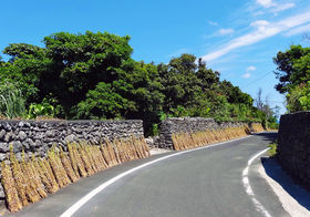 ZT~Xg[gEB̔鋫OmAHׂ̋LTlC