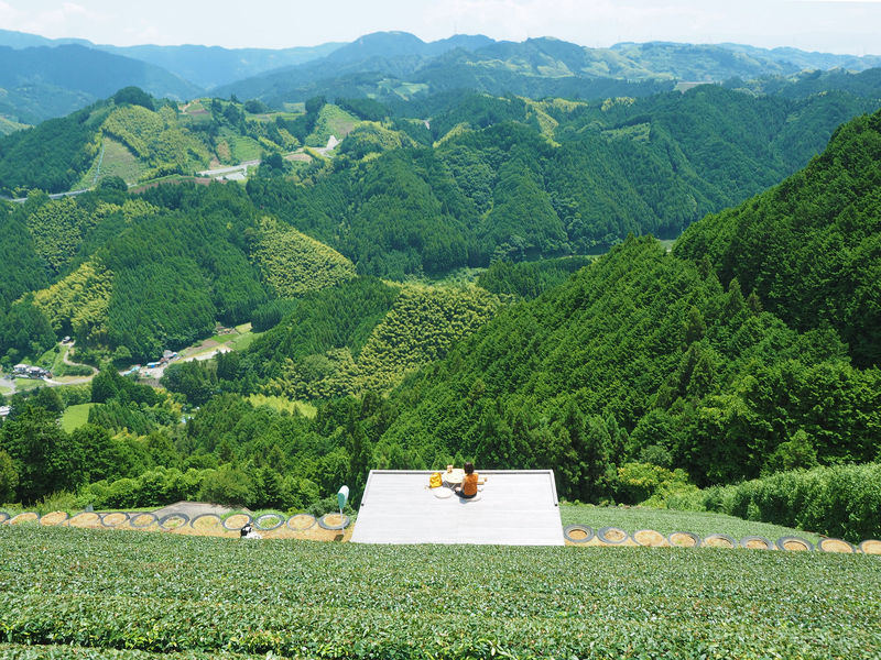 天空の茶園に茶の間が！静岡「豊好園」完全予約制の絶景ティータイム