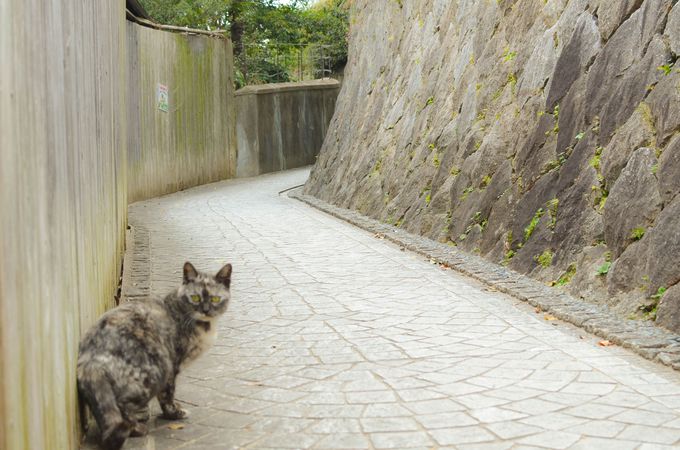 ܂ł͑̂EH[~OAbv邽ߕēo낤