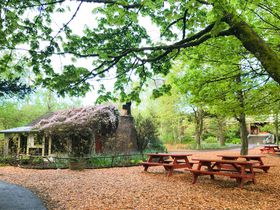 ŃA[gȃzeIāE|[ghu}bNi~YEGbWtB[hv̋LTlC