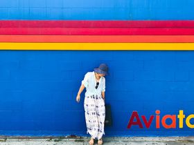 SNSfQIāELAA{bgEL[jӃtHgWFjbNX|bgBESTT̋LTlC