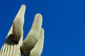 jjɃ~bL[HA]i̕svcX|bguTv̋LTlC