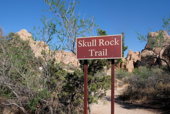 DȂuSkull Rock Nature Trailv