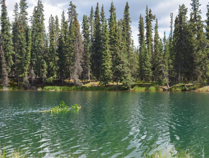 쐶IuHorseshoe Lake Trailv