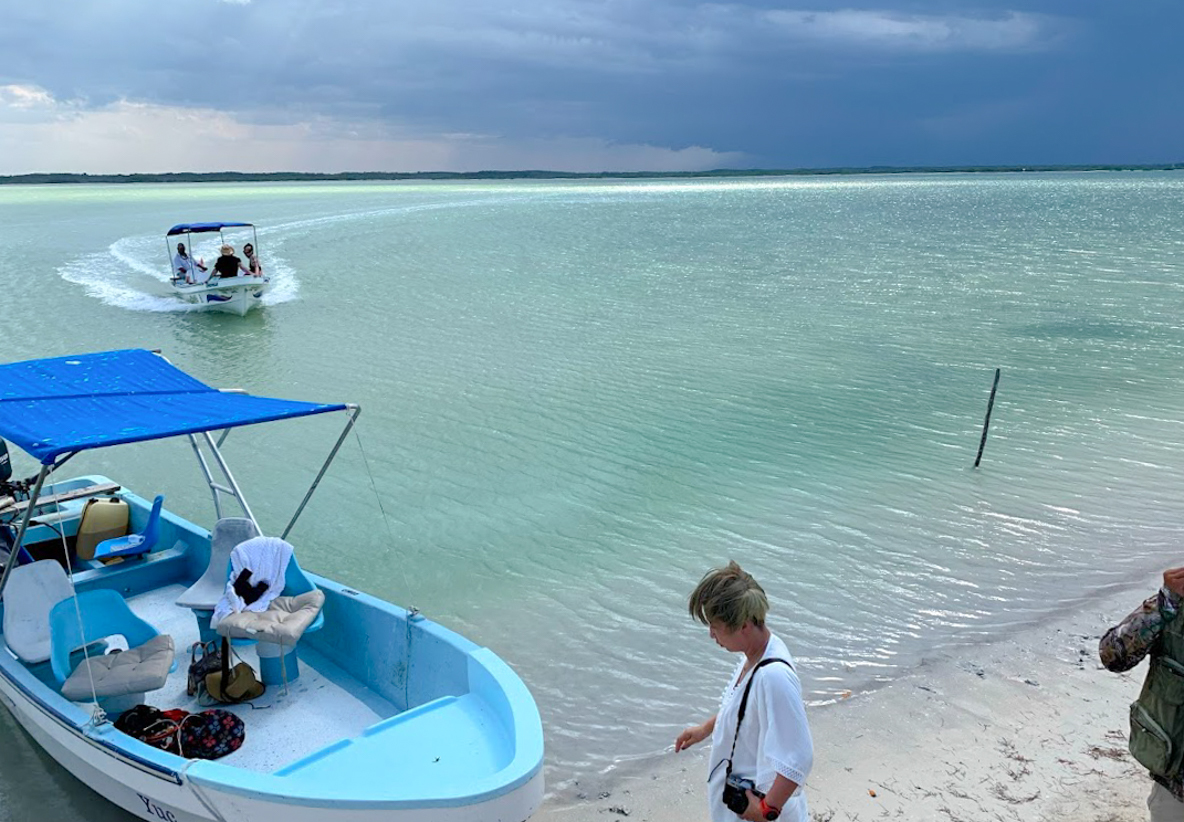野生のワニにピンクラグーンも メキシコ リオ ラガルトス村 メキシコ トラベルjp 旅行ガイド
