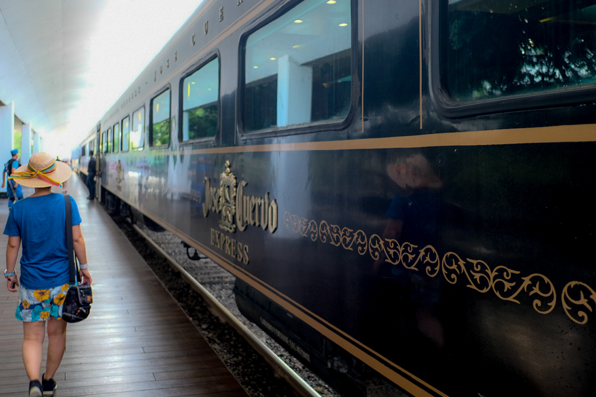 1日テキーラ三昧！メキシコ観光列車「ホセクエルボ・エクスプレス」