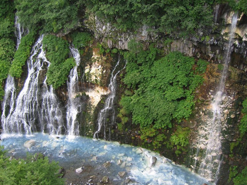 青い池、白ひげの滝…北海道・美瑛の「白樺街道」は穴場の観光スポット！
