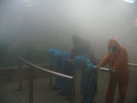 ����30m�ɐk�x7�̗h���̊��A�y���݂Ȃ���w�Ԗh�Б̌��B�������h�� �{���h�Њق̋L���T���l�C��