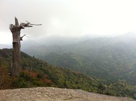 ���߂Ẳ��v���o�R�ŊO���Ȃ����ǂ���S�I�I�����^�㏸�̊����I�̋L���T���l�C��