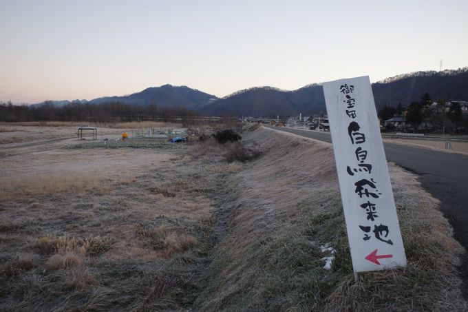 �a�t���͋֎~�I�����ώ@����NG����