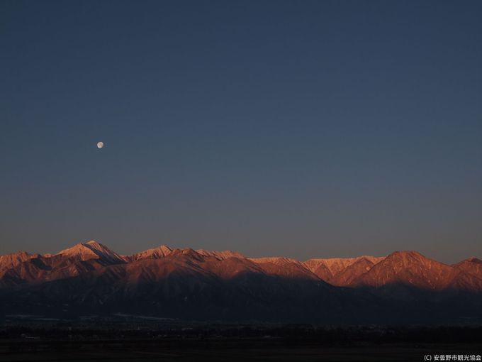 ���c�V���r�ł̔����ώ@�͑��N�����āI