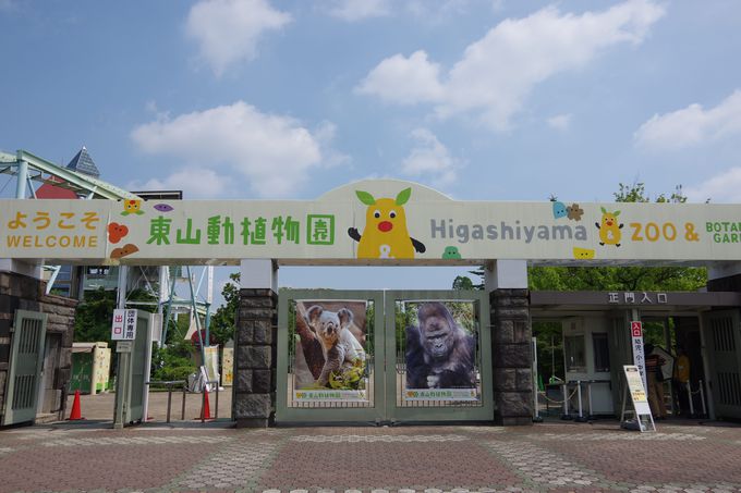 動物園、植物園、遊園地から構成されている東山動植物園