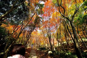 IA[`Ȃ!! i̍gtglu͓v̋LTlC