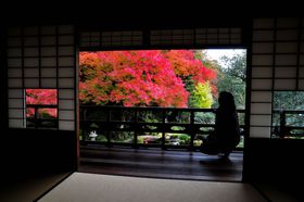 w薼ux뉀v̐igt`H̒Øał͌Ȃ!!̋LTlC