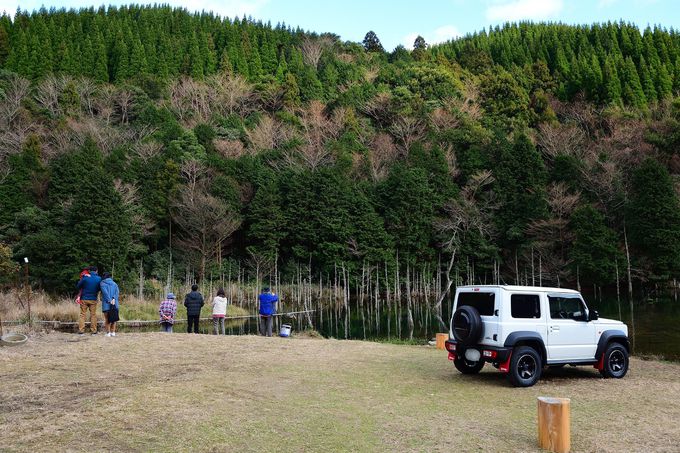 下関の隠れ絶景が話題 一の俣桜公園 蒼霧鯉池 は神秘のスポット 山口県 Lineトラベルjp 旅行ガイド