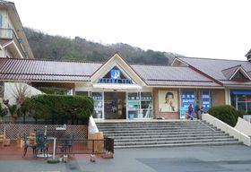 i̎叫ARYO~[WA`ΌSɓ`̋LTlC