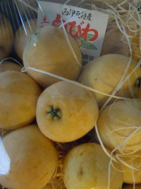 x͐HׂIĂ̕΁w̔тx߁Aɓsyւ̋LTlC