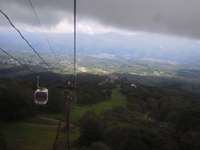 ���������X�J�C�P�[�u���ōs�����{�S���R�A�V�����w�����R�x�̋L���T���l�C��