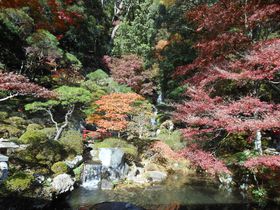 �C�T���뉀�u�H�̓��ʌ��J�v�ƏC�P���̍g�t�����߂���`�ɓ��s�`�̋L���T���l�C��