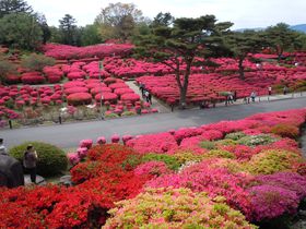 �����O�~!?10���{�����ߐs�����u�ɓ������R���Ղ�v�̋L���T���l�C��