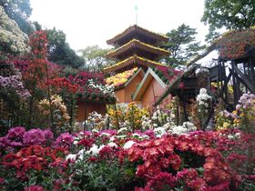 ���M�ȍ���ɕ�܂��I�ԁX���W���O���s�E�y�����u�e�܂�v�̋L���T���l�C��