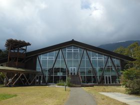 �x�m�R�[�̎��R�w�Z�I�x�m�{�u�c�ь΂ӂꂠ�����R�m�v�̋L���T���l�C��