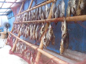 EF̖̔D!?ɓuJlTߏXvHꌩw̋LTlC