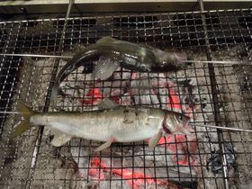 ɎMIHׂȂɓEu̒v̋LTlC