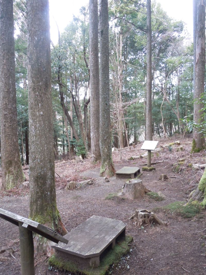 日本初の“瞑想の森”!?伊豆・松崎「富貴野山21世紀の森」