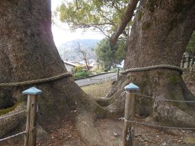 �g�v�w�~���h�Ɍ䗘�v����I��ɓ��E�O���_�Ёu�v�w�N�X�v�̋L���T���l�C��