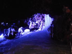 ���{��������x�m�R�̓��A�I�R���E�V�R�L�O���u��X���v�̋L���T���l�C��