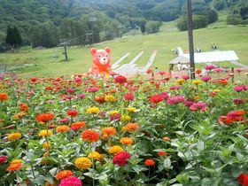 Ă̓t@~[][gɕϐgIuzen[FXgv̋LTlC