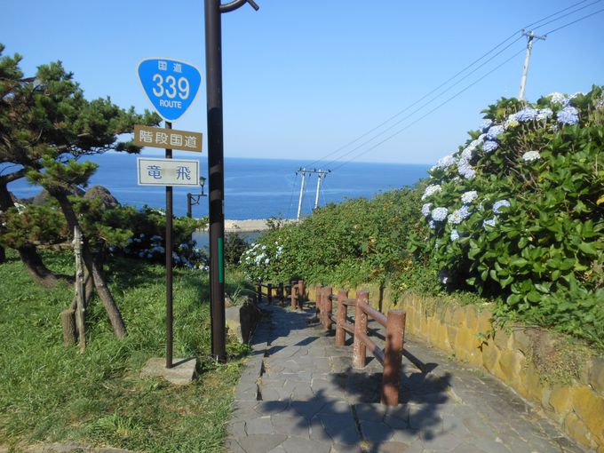 日本で唯一の歩行者専用国道「階段国道３３９号」