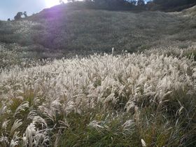 125ha�̉����F�̑����I�ɓ��E���ז썂���u�H�̂������C�x���g�v�̋L���T���l�C��