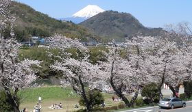 ̎}`̔܂ŁIɓ̍s̍RI̋LTlC